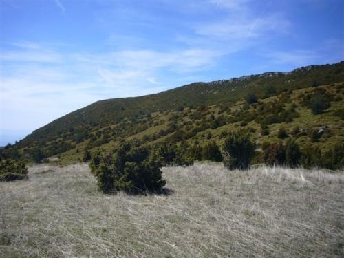 FINCAS HUESCA fincas huesca: