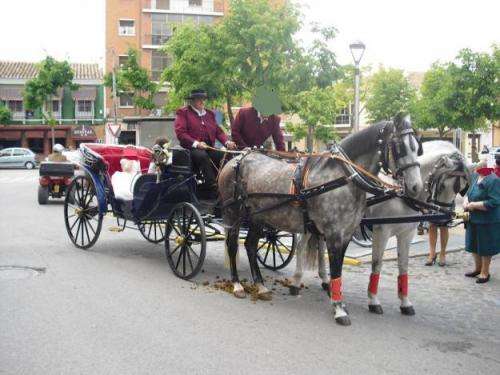 Alquiler coche ciudad real