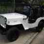 Vendo Jeep Willys Viasa CJ3-E